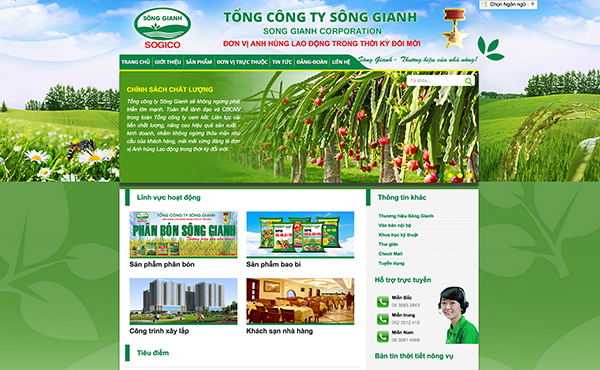 Thiết kế website Tổng công ty Sông Gianh