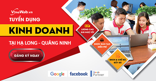 Tuyển dụng gấp 03 nhân viên kinh doanh làm việc tại công ty Vinaweb - Quảng Ninh